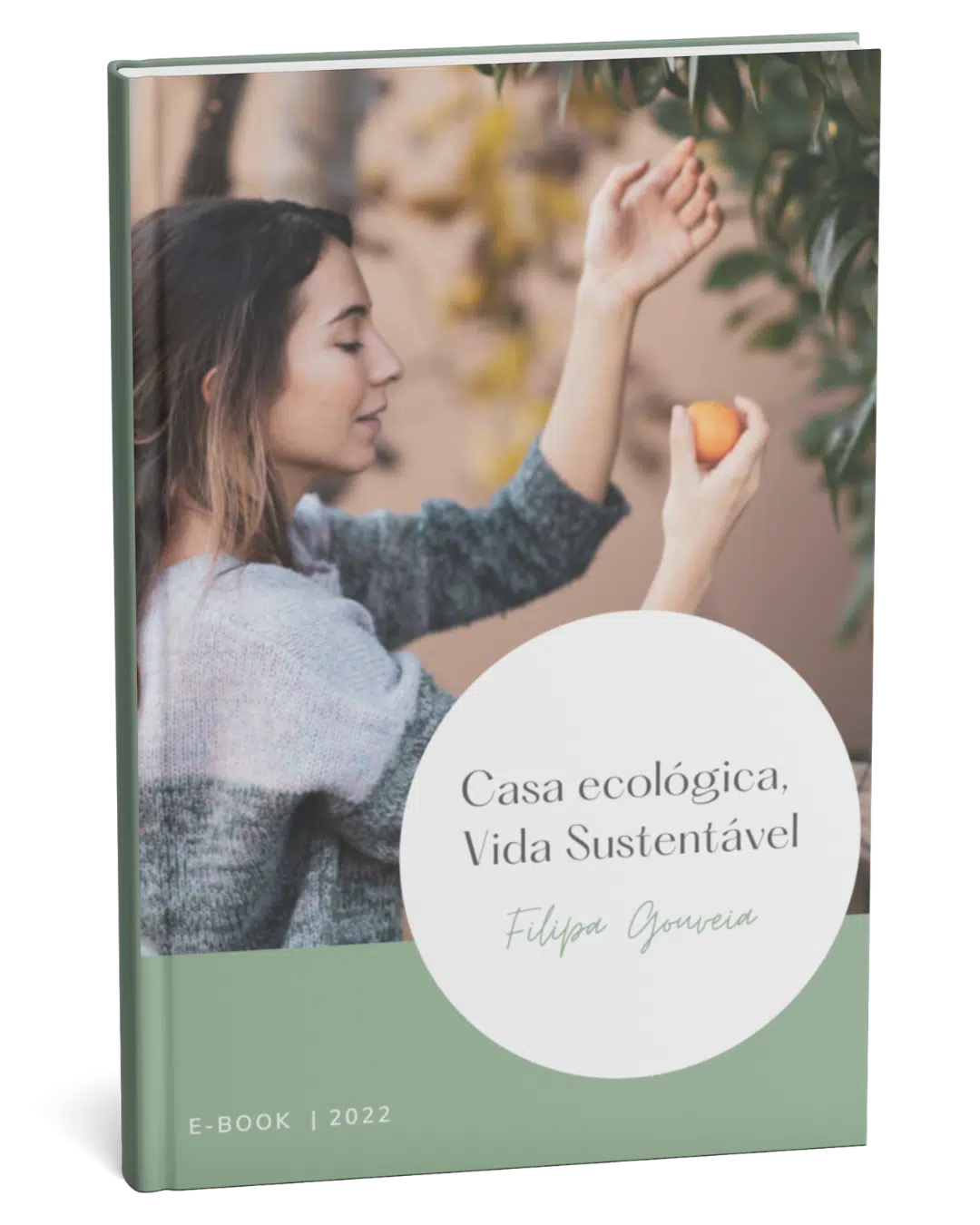 Portfolio Produção Editorial Blossom Studio